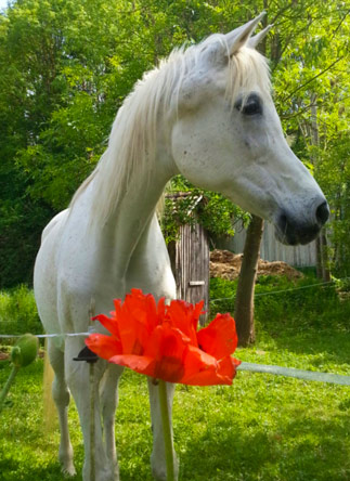 Document made with KompoZer