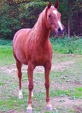 Document made with KompoZer