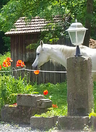 Document made with KompoZer