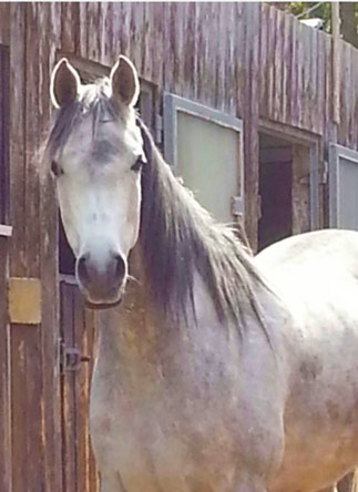 Document made with KompoZer